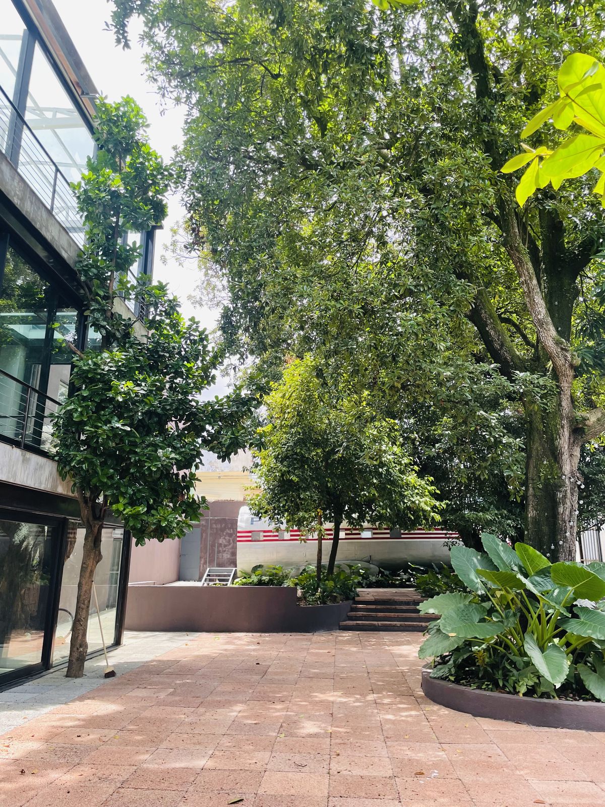 Jardim e fachada lateral