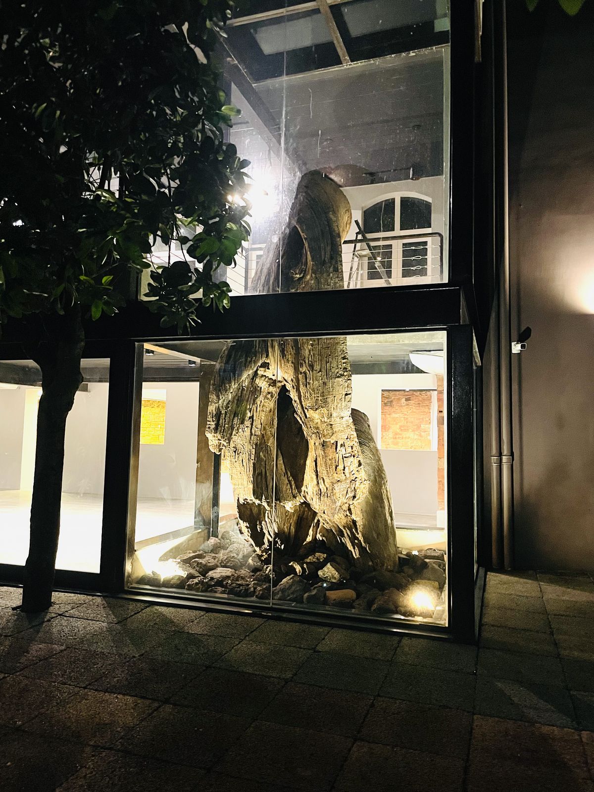 Tronco de madeira iluminado