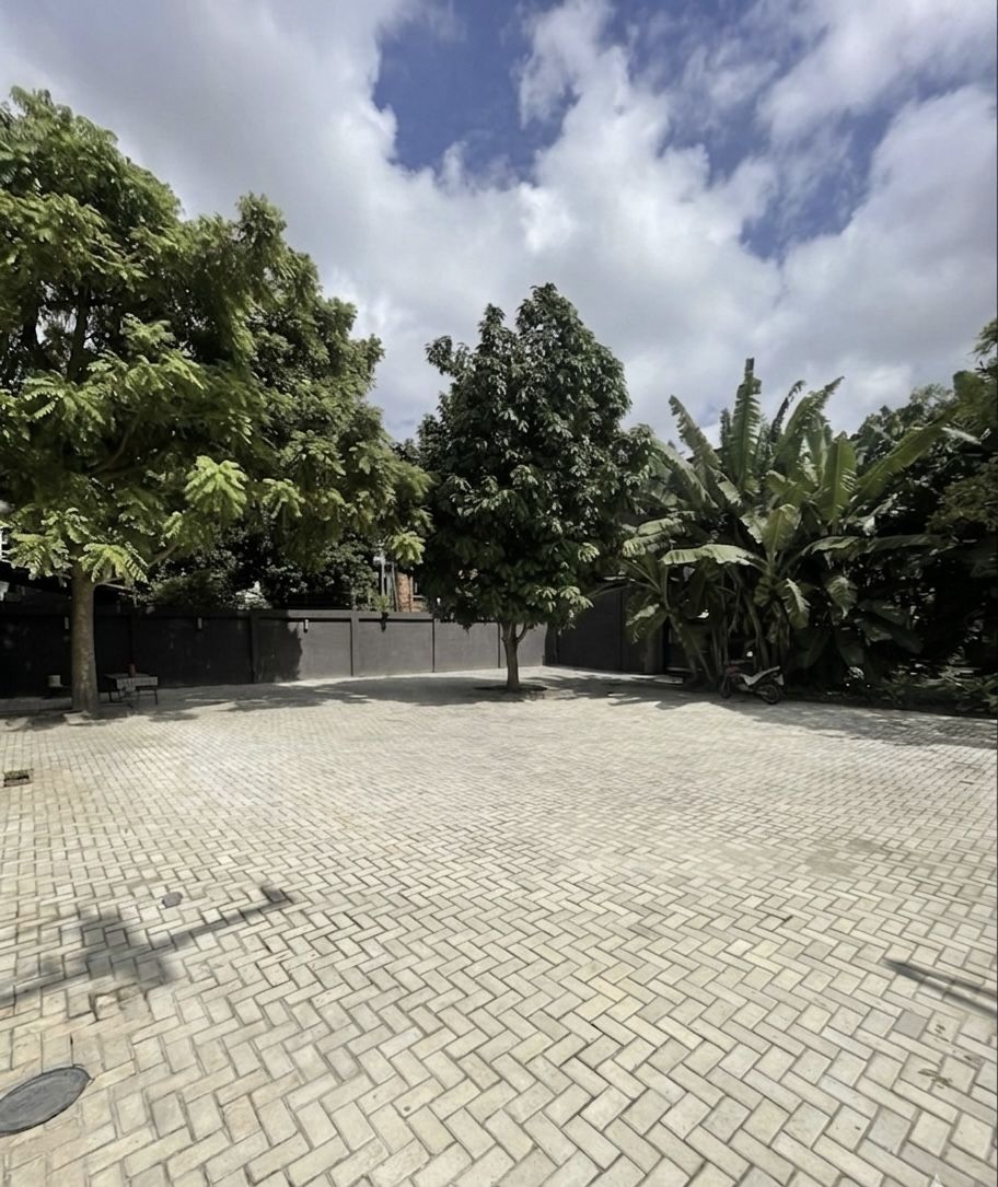 Pátio externo com árvores